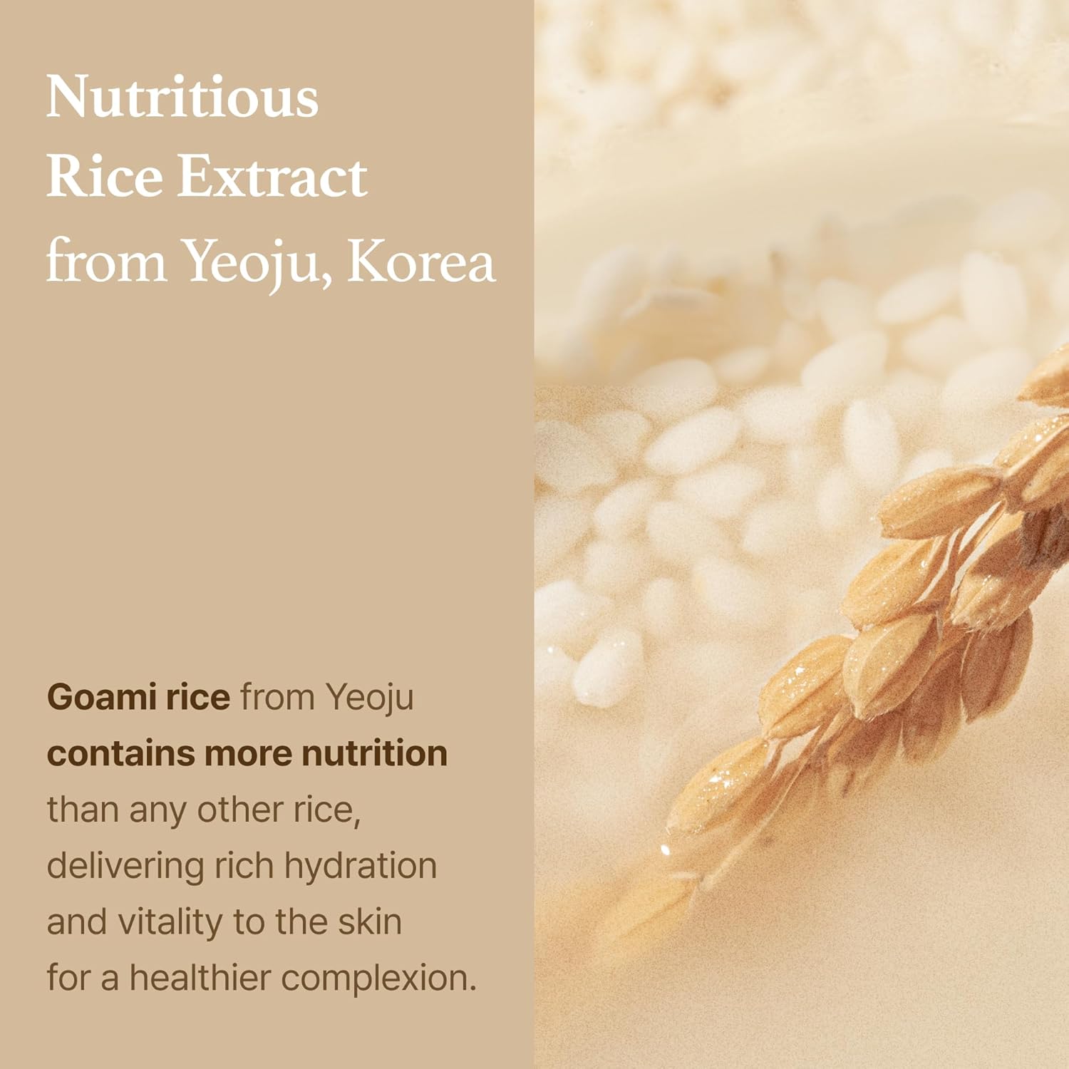 Rice Starter Kit