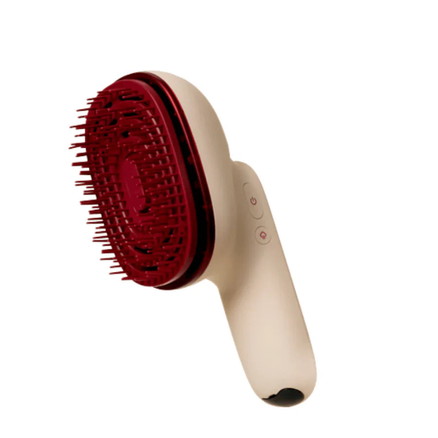 Hair Steamer Pro