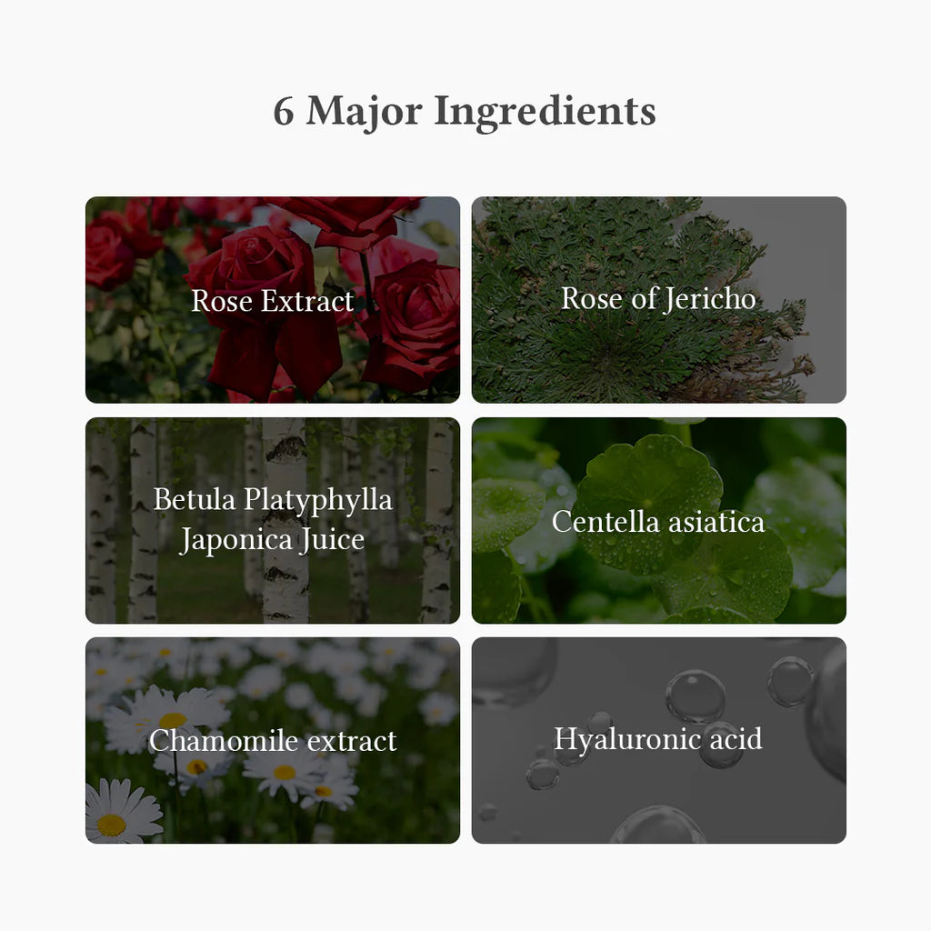Oasis Soothing Mask