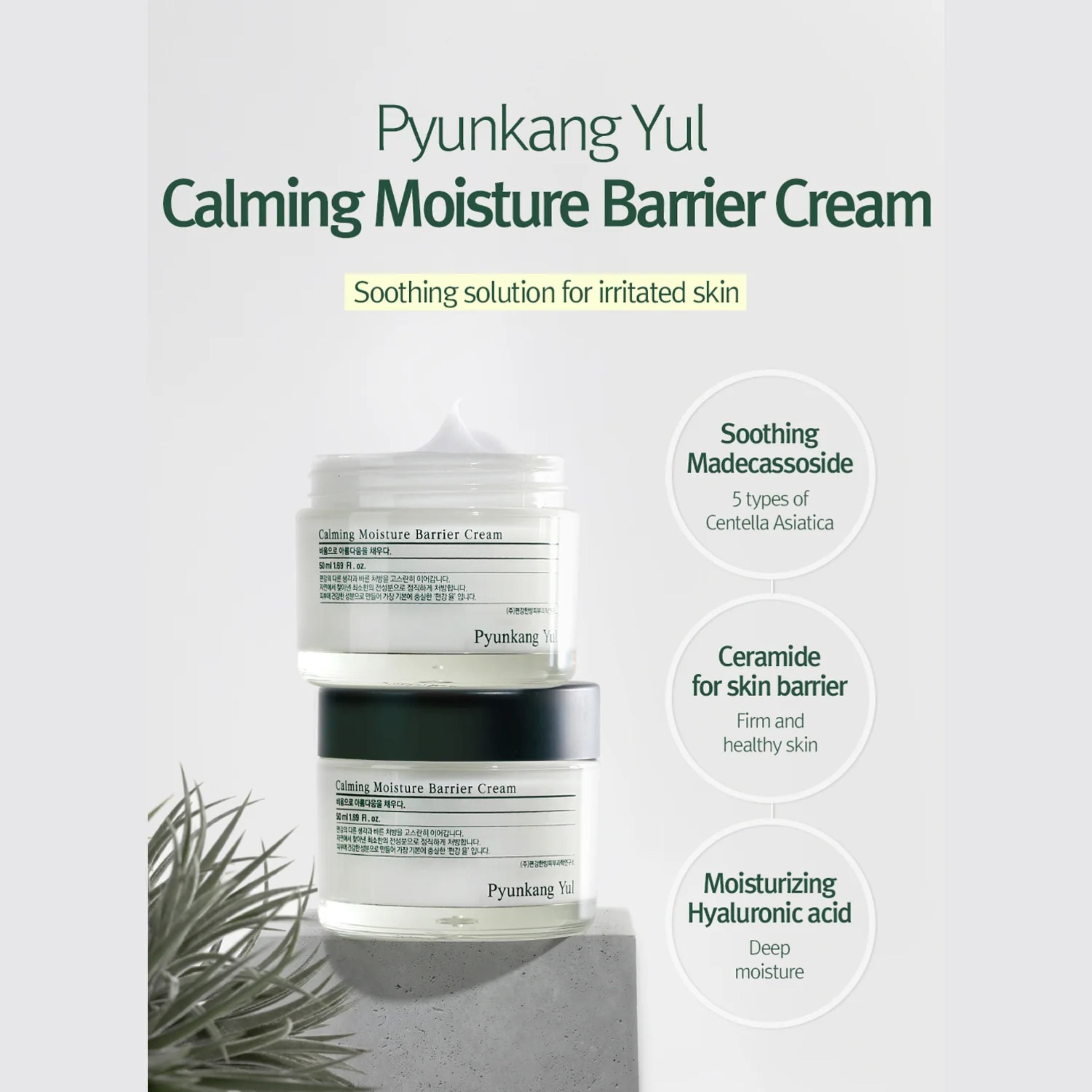 Calming Moisture Nourishing Cream
