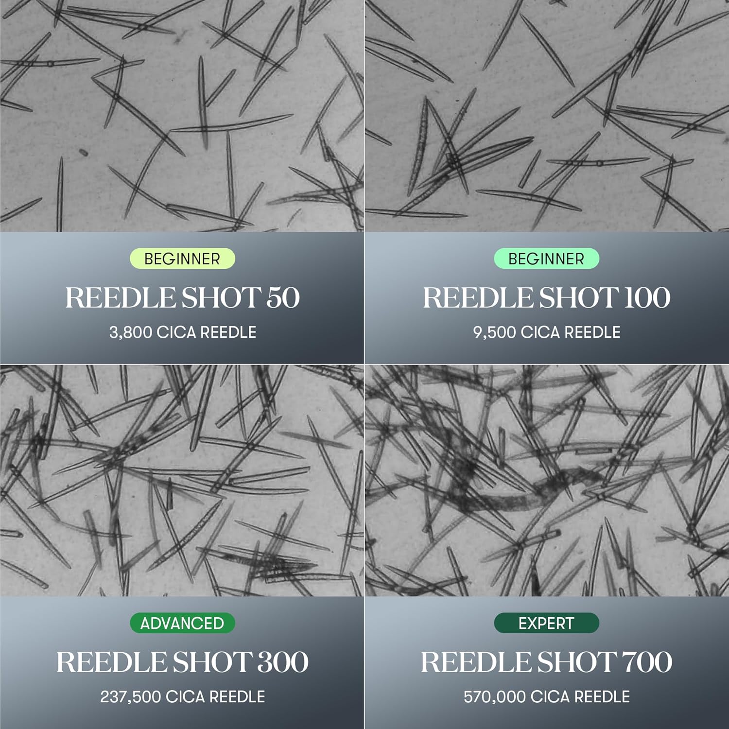 Reedle Shot 300